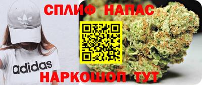 ПСИЛОЦИБИНОВЫЕ ГРИБЫ Гай