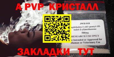 крисы Гагарин