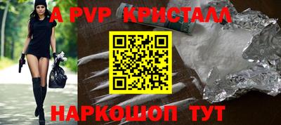 крисы Гагарин