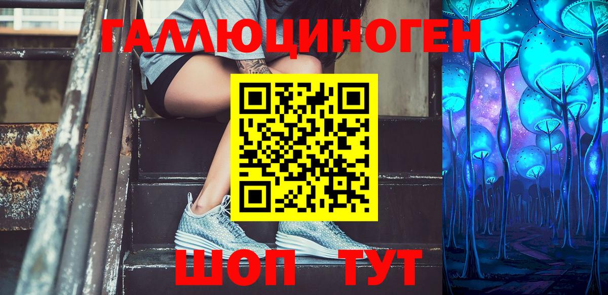 Галлюциногенные грибы ЛСД  Псилоцибиновые грибы MAGIC MUSHROOMS  Вход с VPN  купить наркотик  Карачаевск 