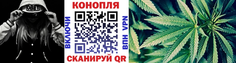 купить наркотик  Карачаевск  МАРИХУАНА Amnesia 